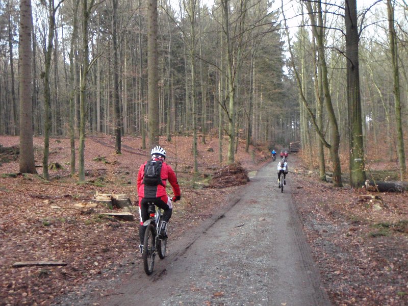 Waldtour 064